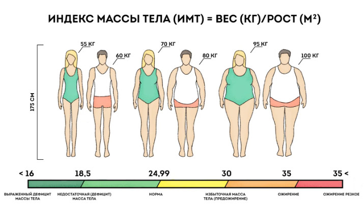 Расчет идеального веса через Индекс Массы Тела