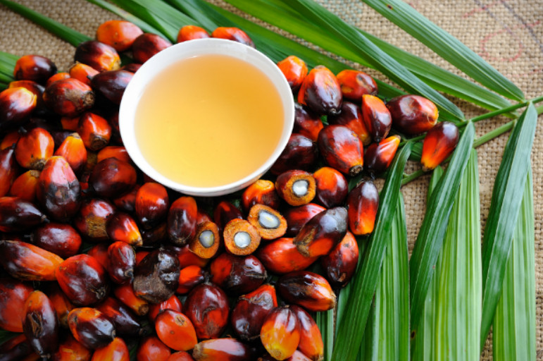 Что такое пальмовое масло - польза и вред
